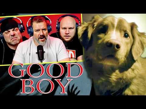 Good Boy